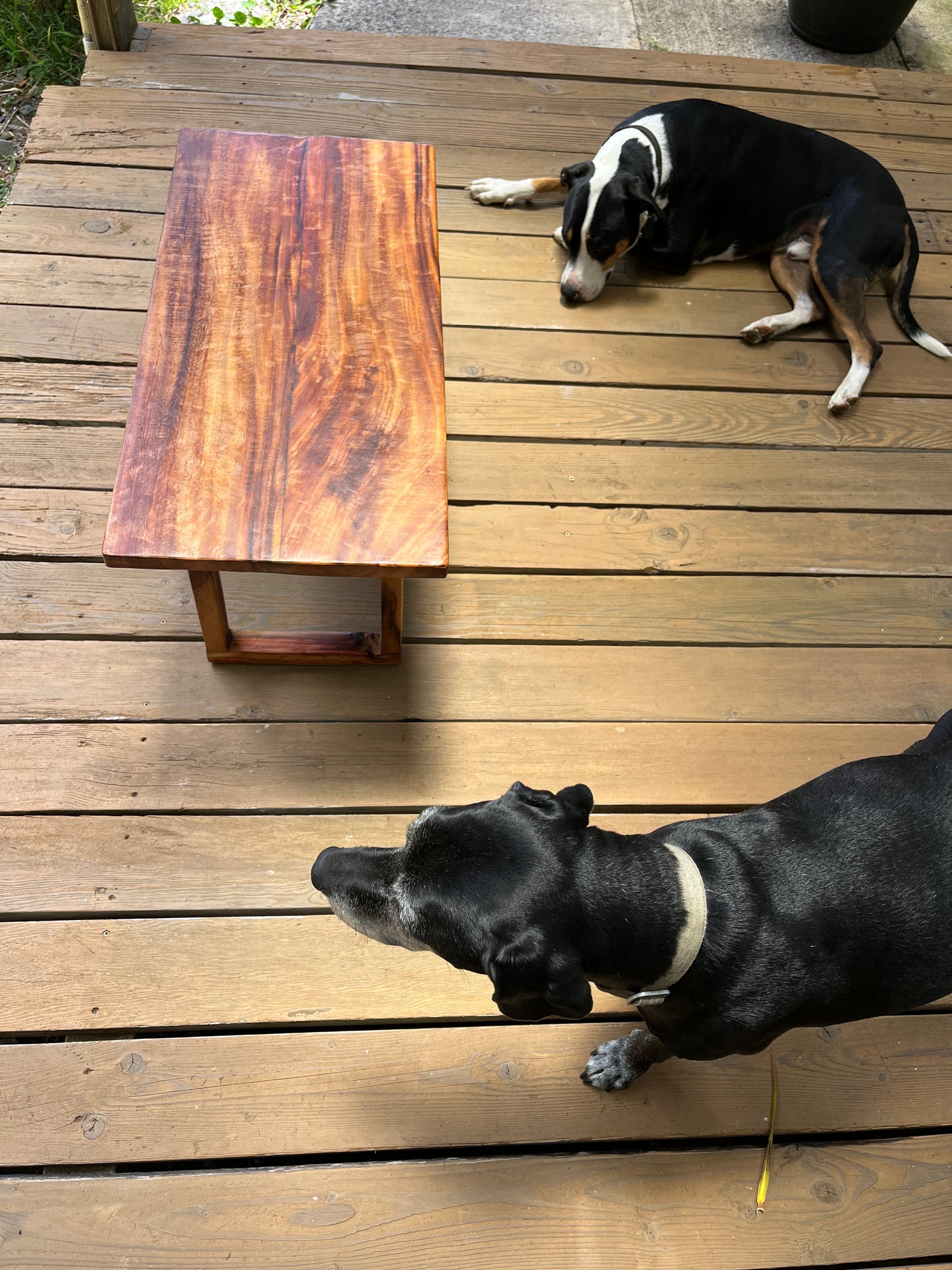 Custom Hard Wood Benches
